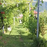 Semesterbostad Casa Botanica Blagaj