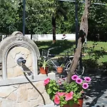 Casa Botanica *