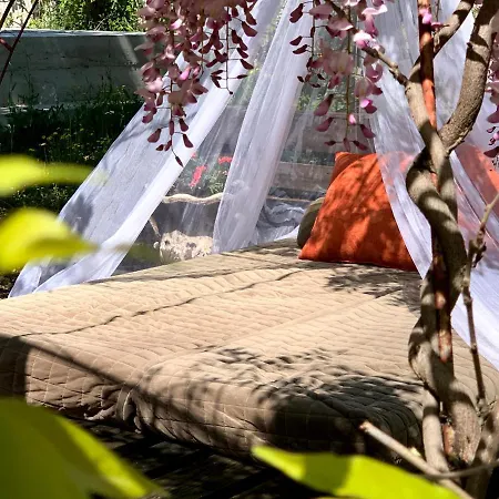 Casa Botanica *
