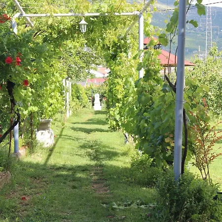 Дом отдыха Casa Botanica Благай