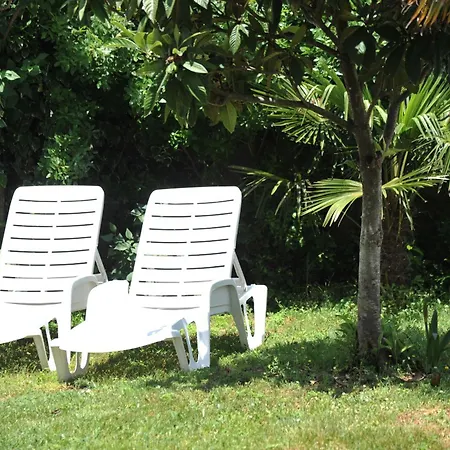 Дом отдыха Casa Botanica Благай