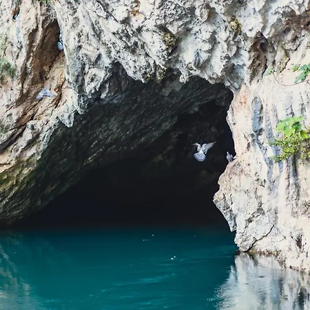 Casa Botanica Дом отдыха Благай