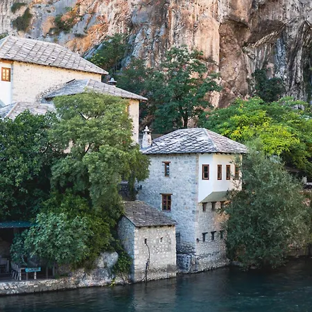 Дом отдыха Casa Botanica *